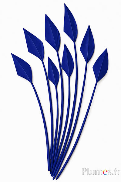 Zwaan pijl - 20-30 cm - donkerblauw
